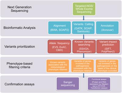 Diagnostics of Primary Immunodeficiencies through Next-Generation Sequencing